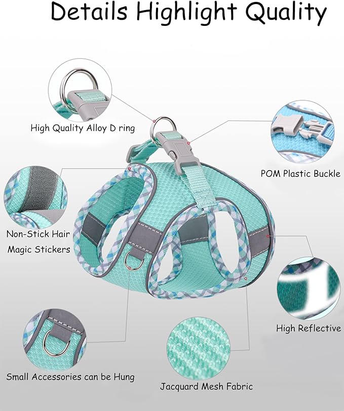 Petank Dog Harness for Small Medium Dogs No Pull