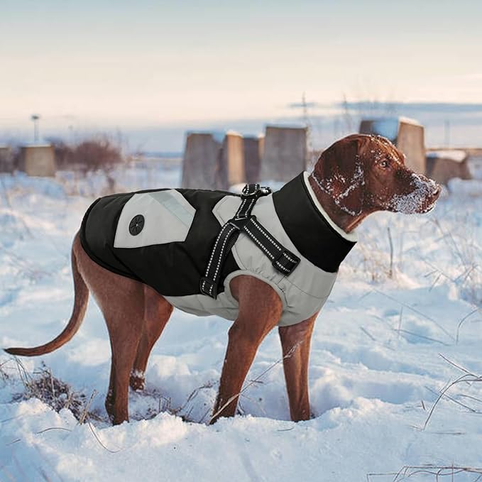 IECOii Dog Coats for Large Dogs Winter Waterproof -Black