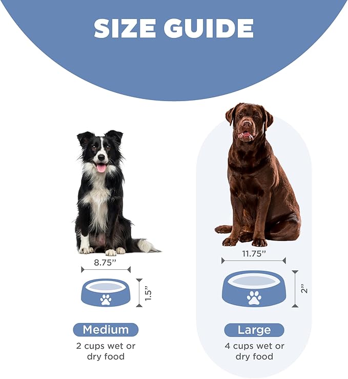 Outward Hound Fun Feeder Slo Bowl