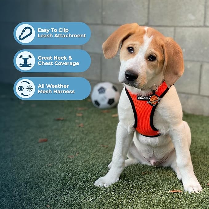 Voyager Step-in Air Dog Harness