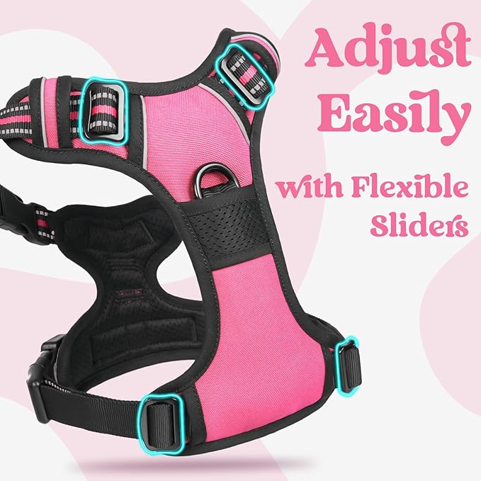 rabbitgoo Dog Harness Medium Sized 3 Buckles,