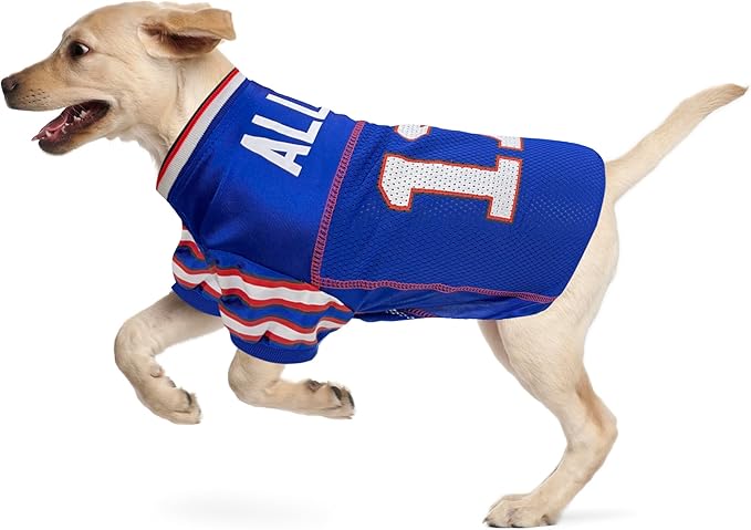 NFLPA Josh Allen PET Jersey