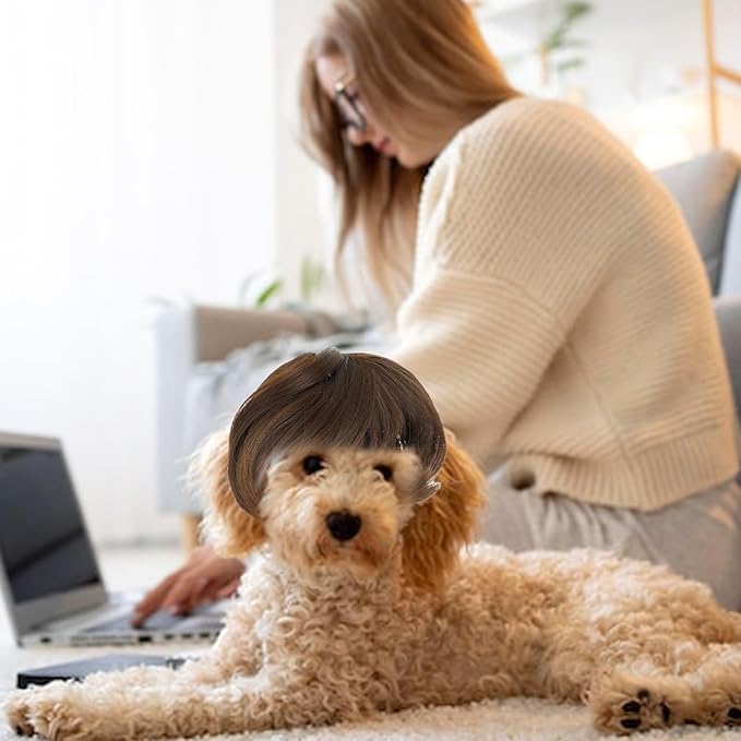 Funny Dog Cat Cosplay Wig Pet Wigs