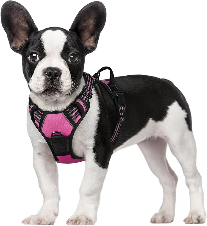 rabbitgoo Dog Harness 2 Leash