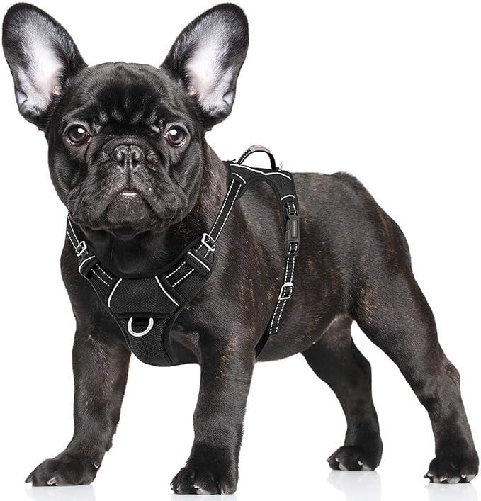 BARKBAY No Pull Dog Harness Large Step in Reflective Dog Harness with Front Clip and Easy Control Handle for Walking Training Running with ID tag Pocket(Black