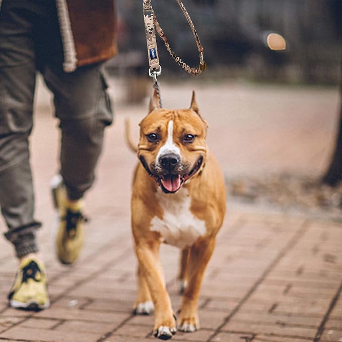 AUROTH Dog Leash Large Dogs 6FT, 2