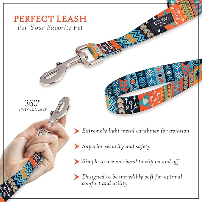 Gilley&Co Dog Collar and Leash Set 8 Designs, 4 Sizes