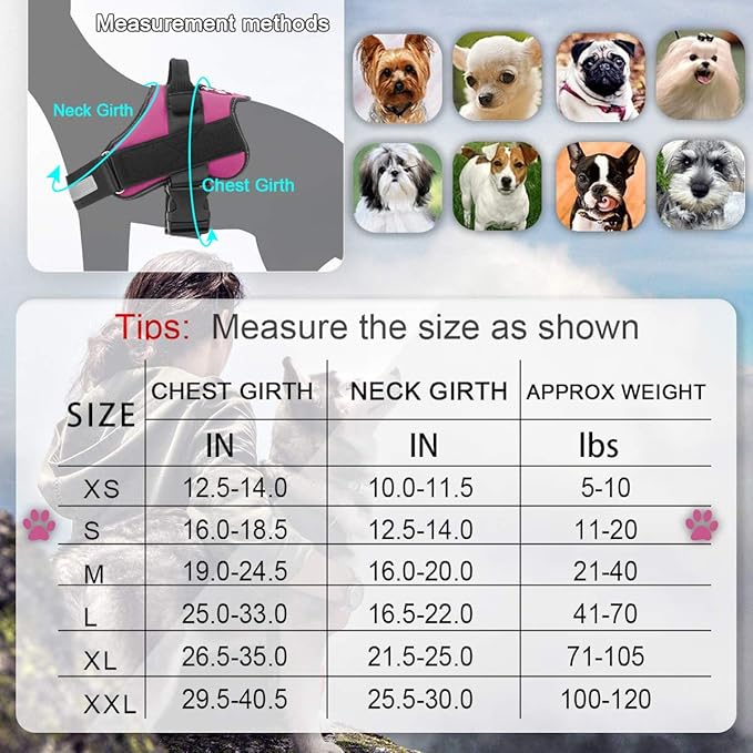 Bolux Dog Harness