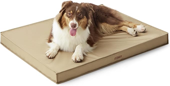 Lesure Waterproof Dog Bed for Medium Dogs