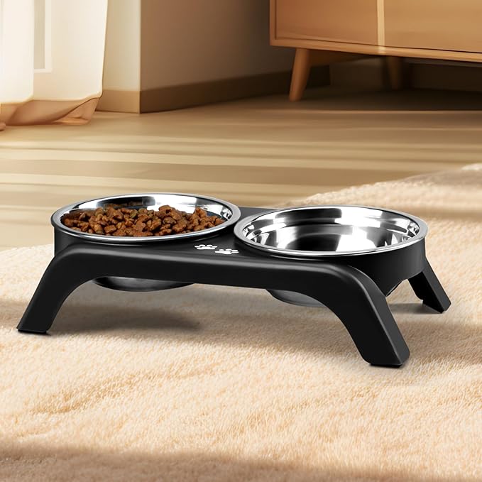 Elevated Cat Bowls 2 Thick
