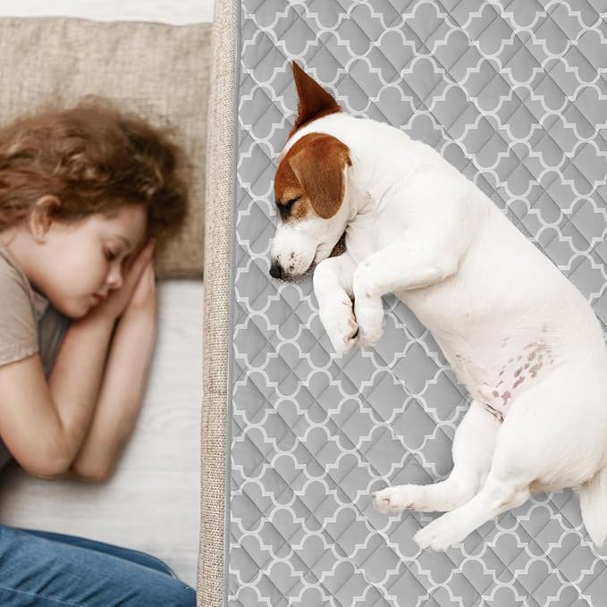 EXPAWLORER Dog Cooling Blanket