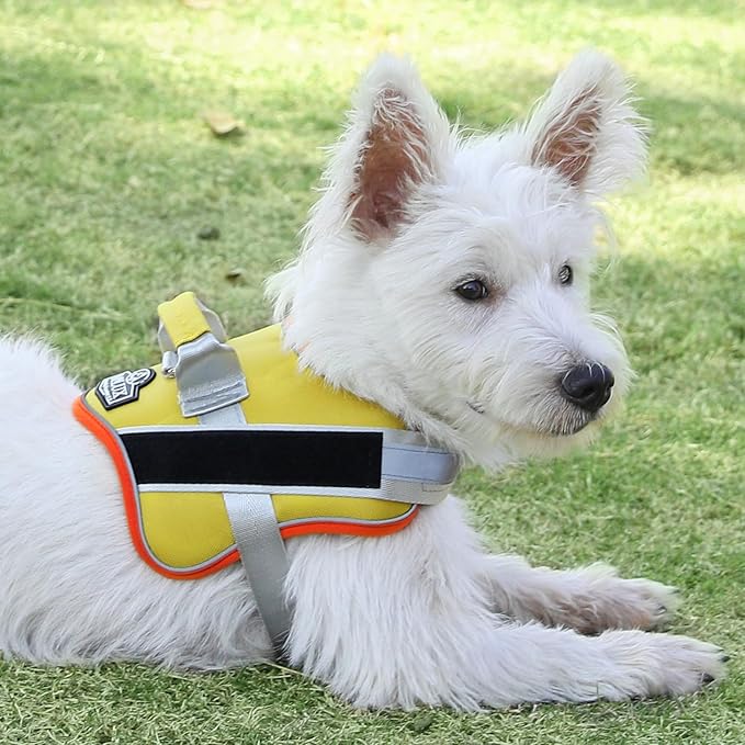 Bolux Dog Harness 1), YellowOrange)
