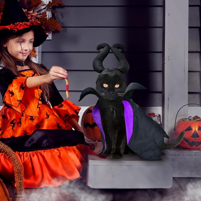 Dog Halloween Witch Costume Dog Wizard Cape Cat