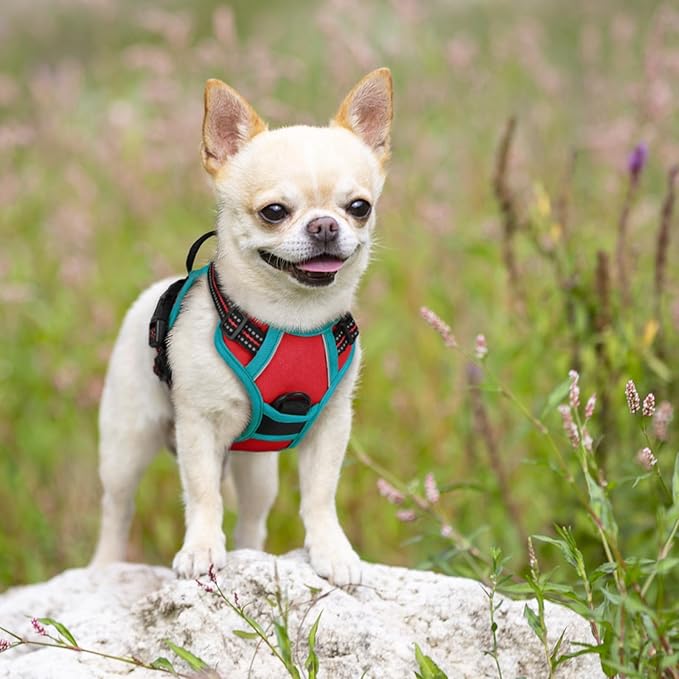 rabbitgoo Dog Harness 2 Leash