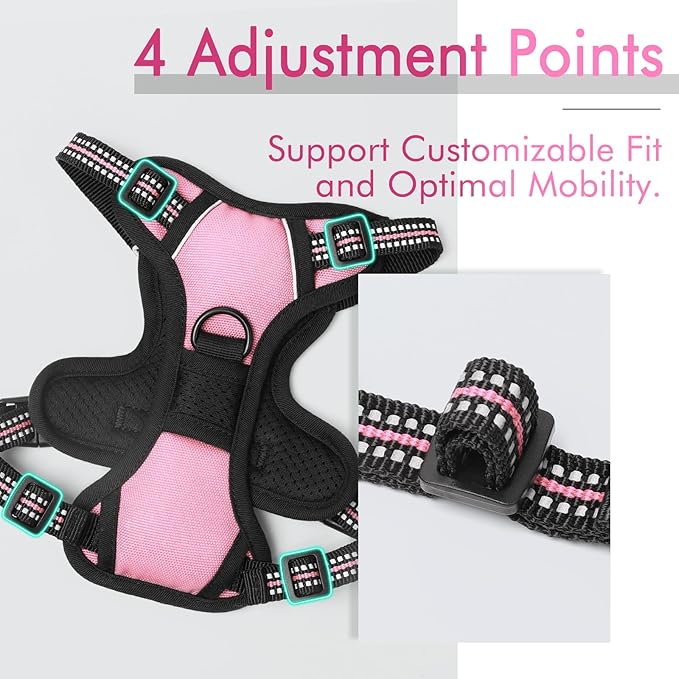 rabbitgoo Dog Harness 2 Leash