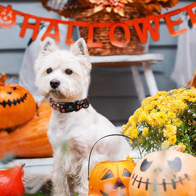 Lionet Paws Black Dogs Collar Halloween 16-24 inches