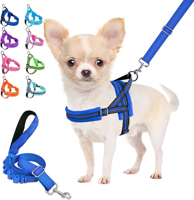 Lukovee Dog Harness and Leash Set 4ft Lightweight