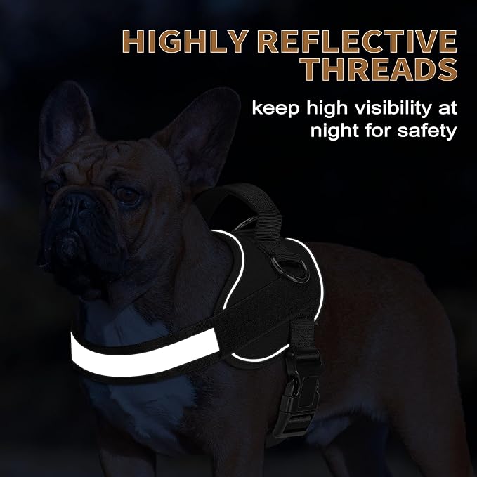 Haapaw Essential Dog Harness 3 Leash