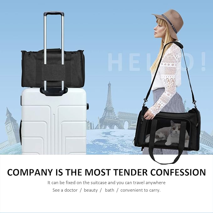 Henkelion Large Soft Sided Cat and Pet Carrier for Cats and Puppies up to 25Lbs