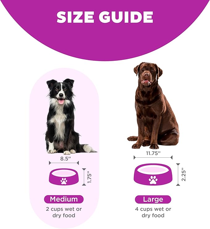 Outward Hound Fun Feeder Slo Bowl