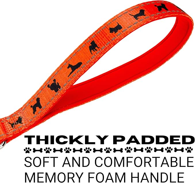 EcoBark Dog Leash