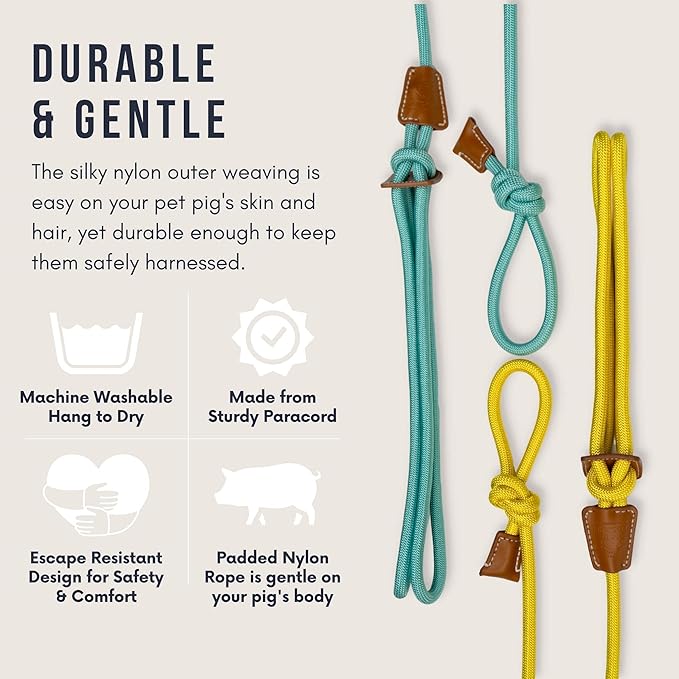 Mini Pig Harness & Leash (S/M) Fully Adjustable