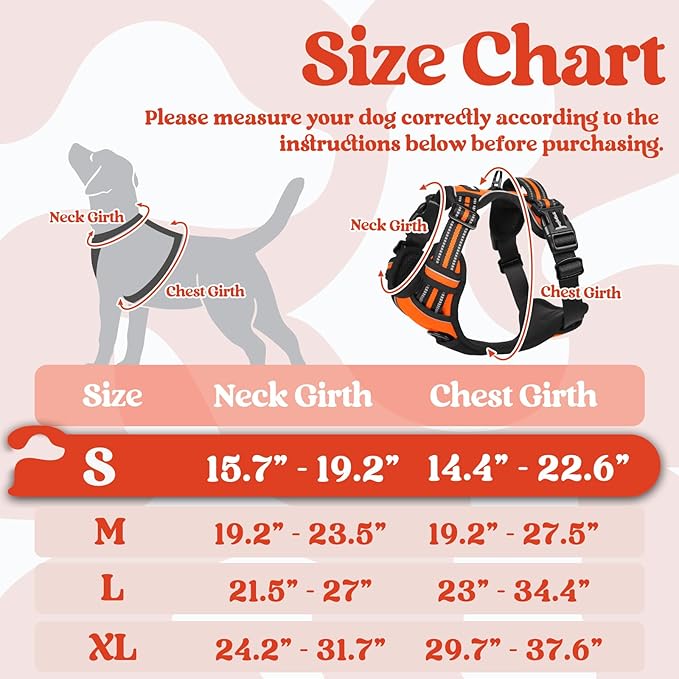 rabbitgoo Dog Harness Small Sized 3 Buckles,
