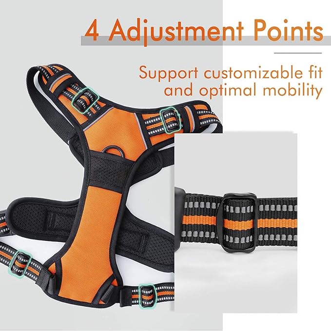 rabbitgoo Dog Harness 2 Leash