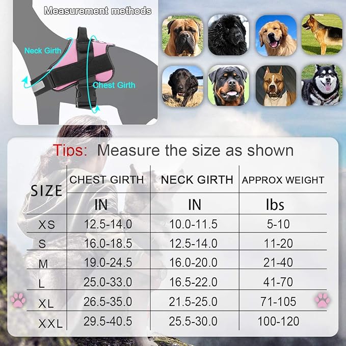 Bolux Dog Harness