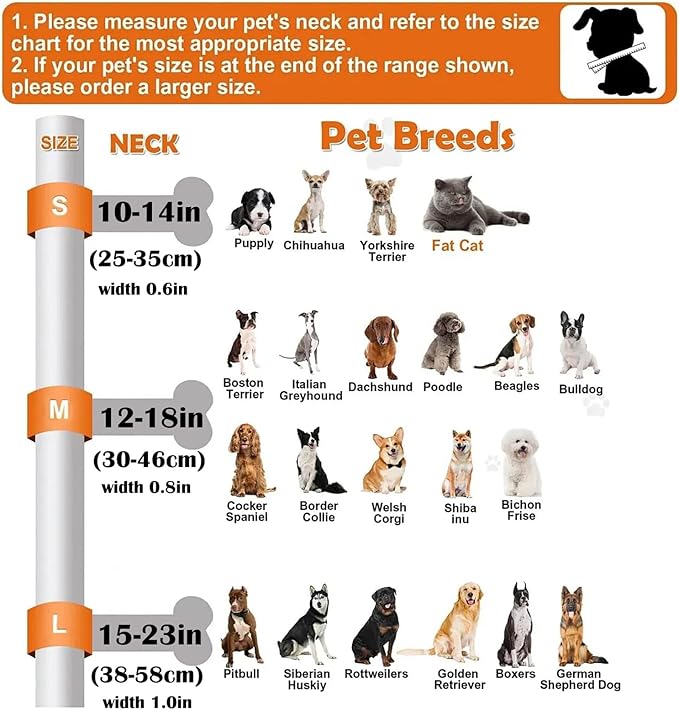 Colorful Heart Dog Collar with Pendant