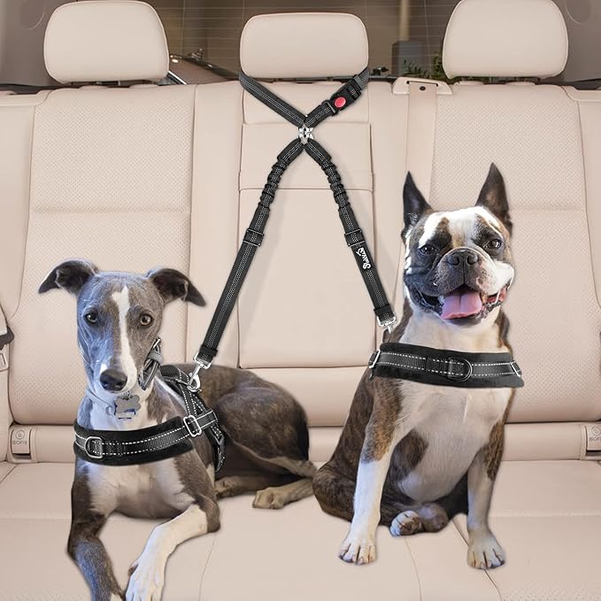Lukovee Double Dog Seat Belt 2 Dogs,Black