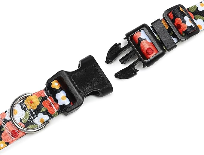 Adjustable Dog Collar with Patterns