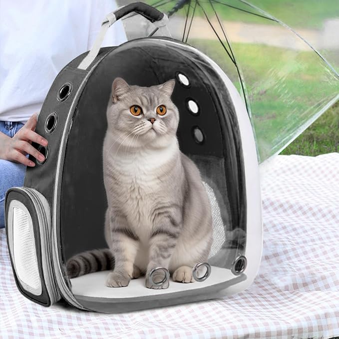 TOYSINTHEBOX Cat Backpack Carrier 13 Lbs