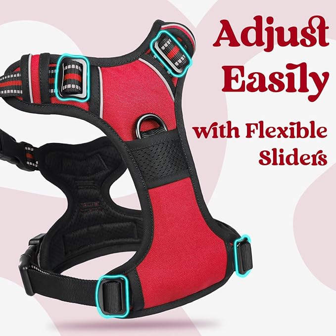 rabbitgoo Dog Harness Medium Sized 3 Buckles,