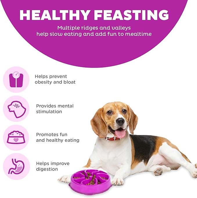 Outward Hound Fun Feeder Slo Bowl