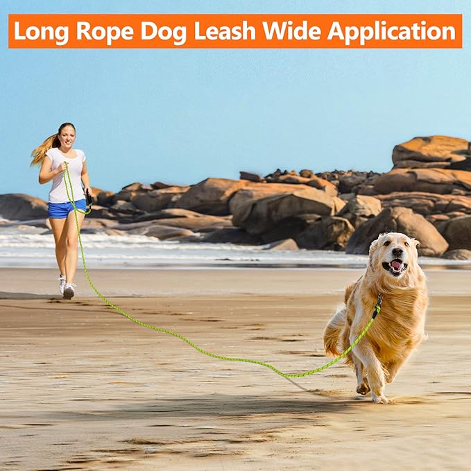 NTR 50FT Dog Long Leash