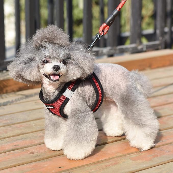 Dog Harness Step-in Breathable Puppy Cat Dog Vest
