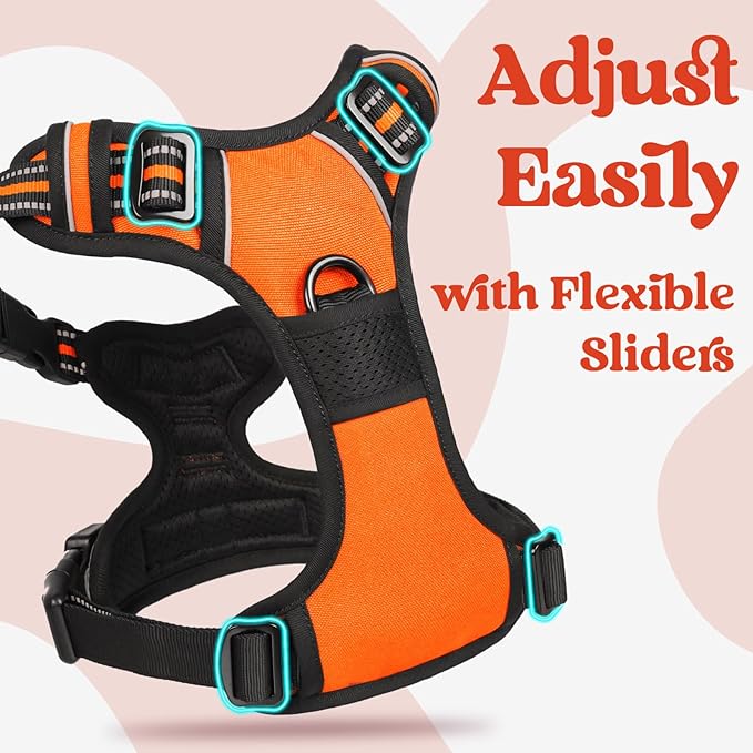 rabbitgoo Dog Harness Small Sized 3 Buckles,