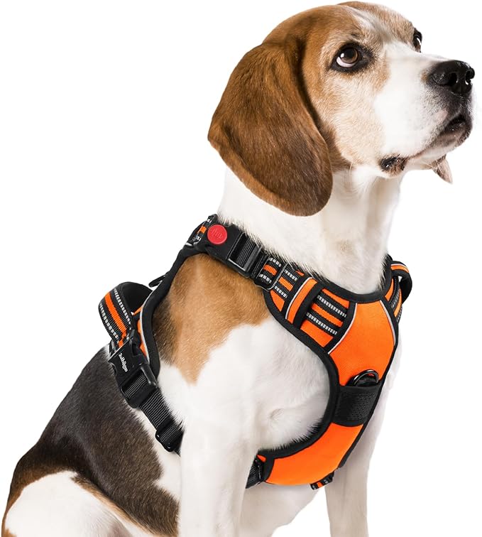 rabbitgoo Dog Harness Medium Sized 3 Buckles,
