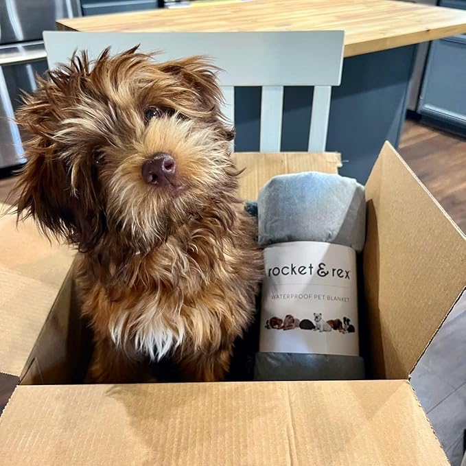 rocket & rex Large Waterproof Dog Blankets for Dogs