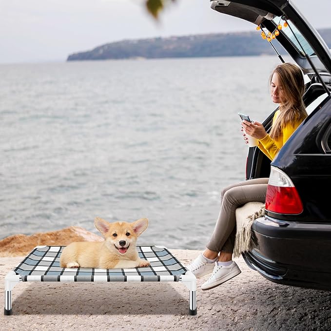 Elevated Dog Bed Raised Dog Bed