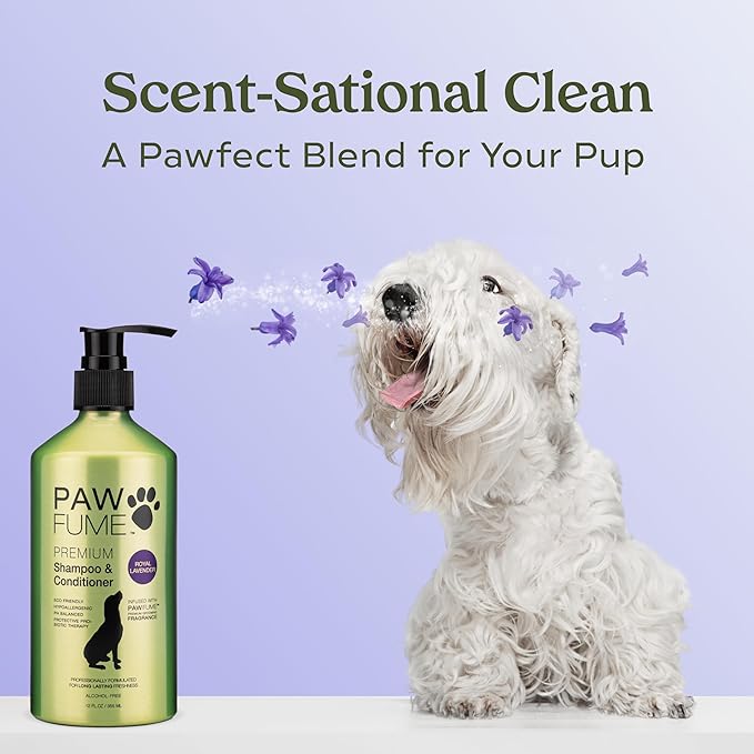 Pawfume Dog Shampoo and Conditioner – Hypoallergenic Dog Shampoo for Smelly Dogs – Best Dog Shampoos & Conditioners – Probiotic Pet Shampoo for Dogs – Best Dog Shampoo for Puppies (Lavender 4-Pack)