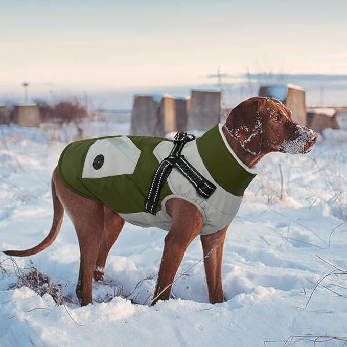 IECOii Dog Coat with Harness Built in -Green