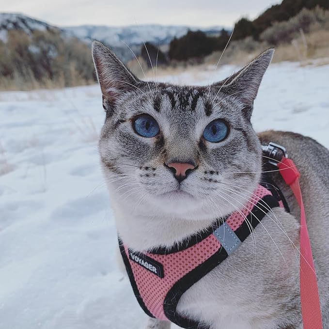 Voyager Step-in Air Cat Harness 9.5-10.5")
