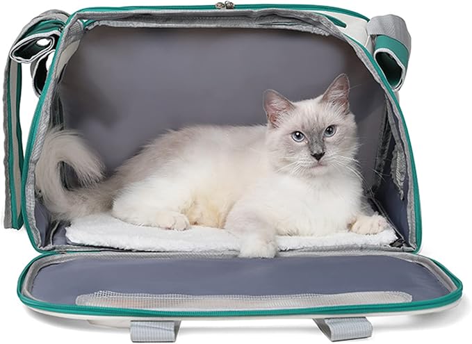 Dog Carrier