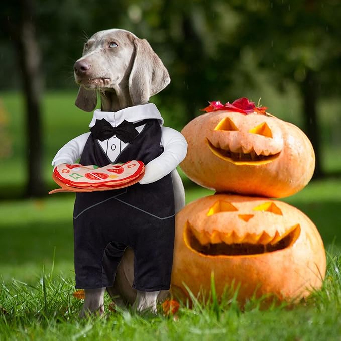cyeollo Waiter Dog Halloween Costume