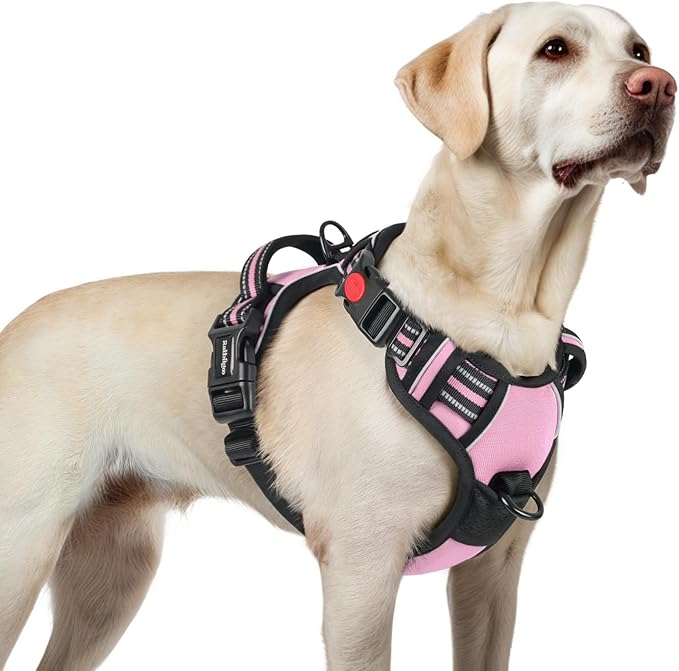 rabbitgoo Dog Harness for Large 3 Buckles,