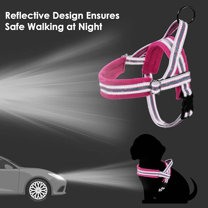 Lukovee Dog Harness and Leash Set 4ft Lightweight
