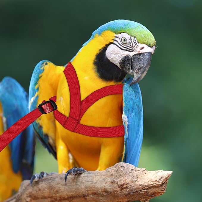 2 pcs Pet Parrot Bird Harness and Leash Between24-51cm /9.45-20inch
