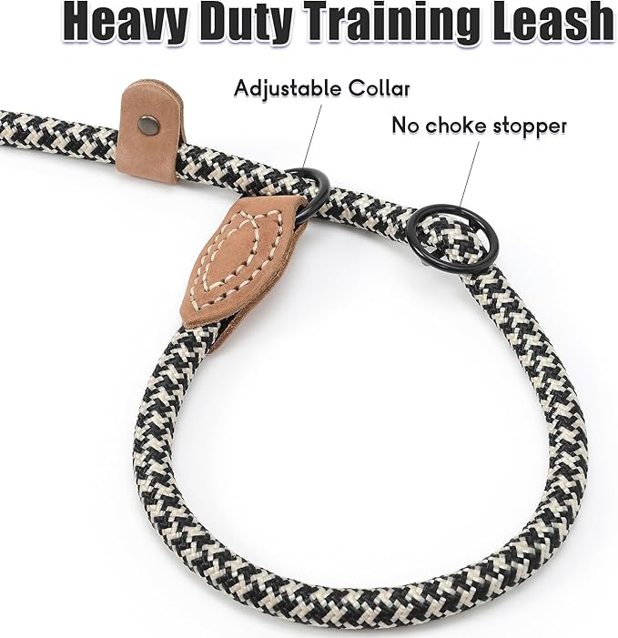 Mile High Life Slip Leads for Dogs 6 Feet